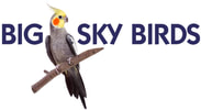 Big Sky Birds